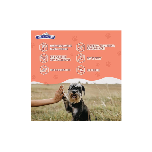 Nutri Bites - Freeze Dried Salmon Treats for Dogs and Cats, 14 OZ /400 g - Value Pack - Image 5