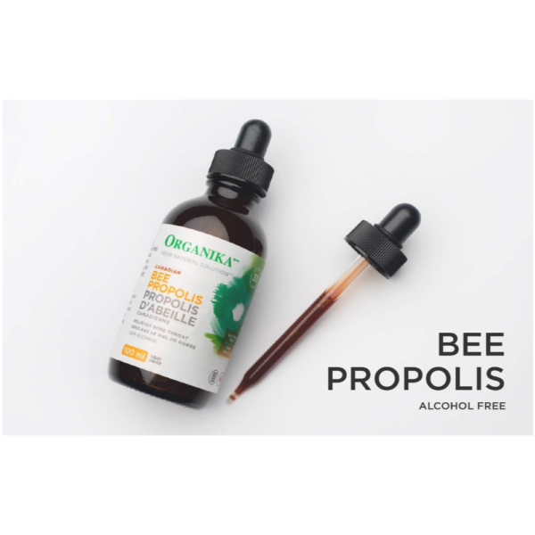 Organika Bee Propolis Liquid - 100 ml, Alcohol-Free Formula for Immune Support, Sore Throat Relief, and Antioxidant Benefits - Image 3
