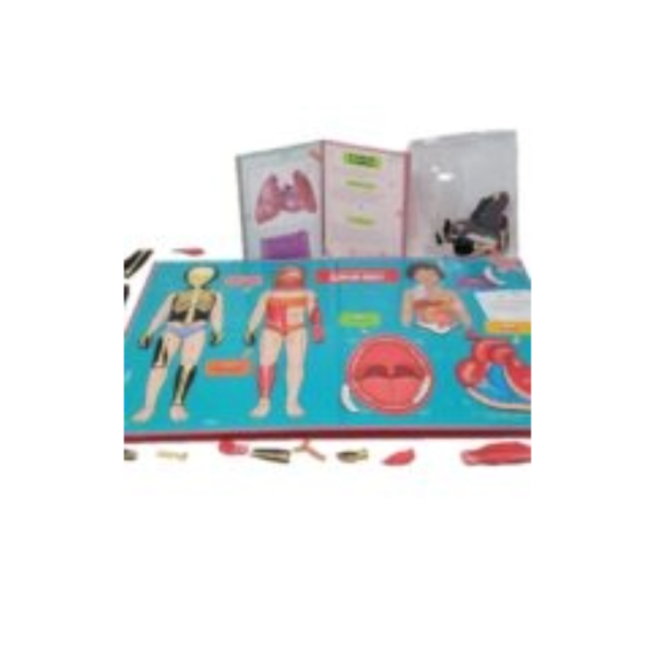 Documentary Book with A Magnetic Board & Magnets for Ages 7+ - Great for Learning & Education (Body) - Image 5