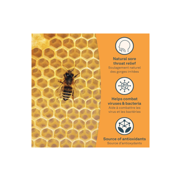 Organika Bee Propolis Liquid - 100 ml, Alcohol-Free Formula for Immune Support, Sore Throat Relief, and Antioxidant Benefits - Image 6