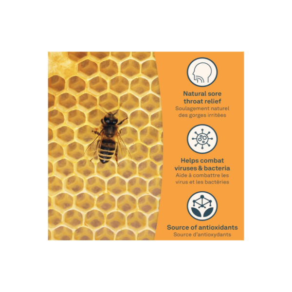 Alcohol-Free Bee Propolis for Sore Throats and Immune Boosting - Image 6